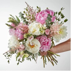 Cotton Candy Peony Bouquet (Standard)