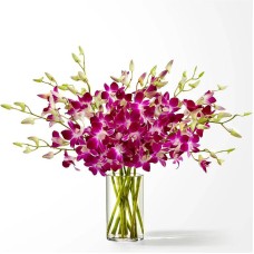 Positively Purple Orchid Bouquet (Standard with Vase)