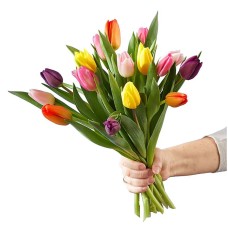 15 Stem Spring Breeze Multicolored Tulip Bouquet