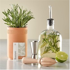 Cocktail Infusion Kit