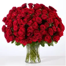 Love You More than 100 Red Roses