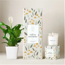 Lula's Garden Peace Lily Plant Gift Set - Forever Remembered