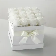 White Forever Roses