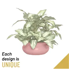 Single Seasonal Plant