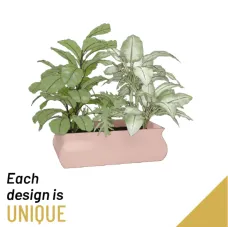 Arrangement of Seasonal Plants