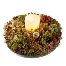 Living Succulent Wreath