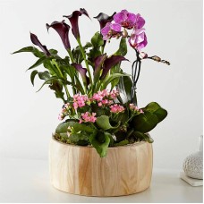 Sending A Garden Of Love