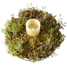 Living Succulent Wreath & Ivory Candle