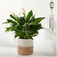Celebration of Life Windchime & Plant Bundle (Peace Lily & Celebration of Life Windchime)