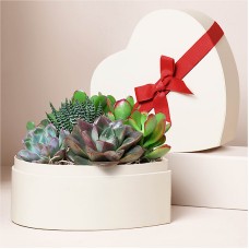 Lula's Small Heart Garden