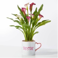 Mom's Heart Pink Calla Lily