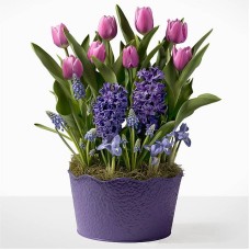 Let Your Love Grow Bulb Garden