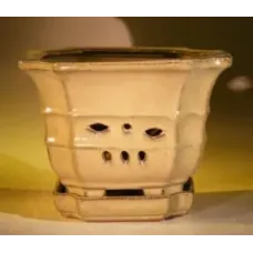 Mustard Color Orchid Pot with Attached Tray 7.0" x 6.5" Tall
