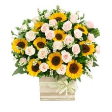 Blushing Sunflowers (Basic)