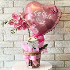 Pink Orchid with Personalized Message
