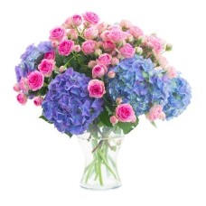 Blue And Pink Creation