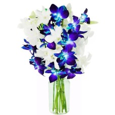 Blue & White Orchids in a Vase