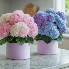 Hydrangea Flower Vase
