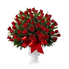 'Divine' 50 Red Roses Vase