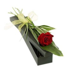 Single Rose Vase, Gift box & Godiva Chocolates