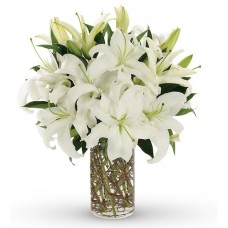 White Lilies In A Vase