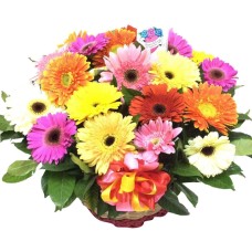 10 Rainbow Ecuadorian Roses Box