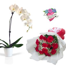 Potted Orchid & Roses Bouquet Package