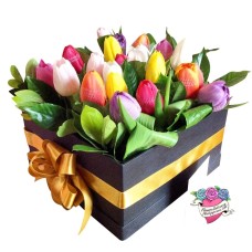 18 Rainbow Tulips Box