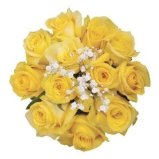 24 Boxed Red Roses