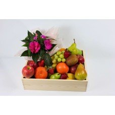 Garden Delight