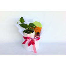 Botanic Bliss