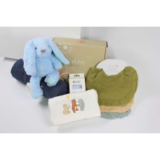 Gentle Beginnings Hamper - Blue