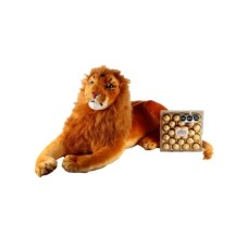 Lion With Chocolates
