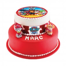 Paw Patrol Mounted Coin