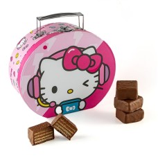HELLO KITTY SUITCASE