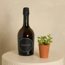Prosecco and Organic Succulent