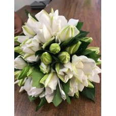 Bouquet of 12 JASMINE