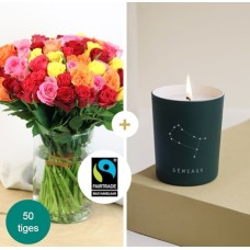 A bouquet of multicolored roses - Gemini (Normal)