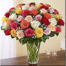 50 Large Roses Mix