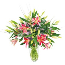 Pink Stargazer Lilies - Romanian Flowershop (Standard)