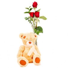 Red Roses And Cute Teddybear - Flowers To Romania