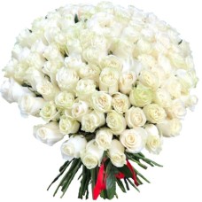 101 Luxury White Roses