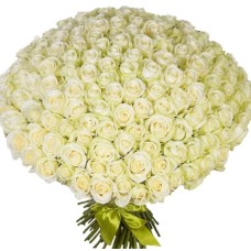 101 White Roses