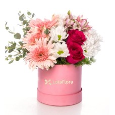 Pink alstroemerias, pink gerberas and white daisies in a pink box