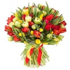 101 Glamorous Tulips