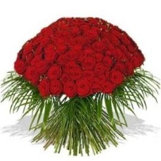Red Roses with Palm Branches (125 Roses)