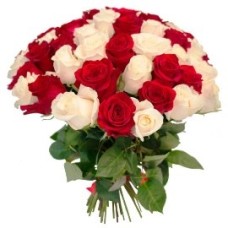 27 Red And White Roses (27 Roses)