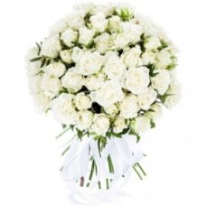 White Angels (37 Stems)