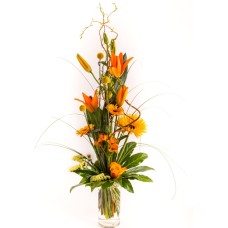 Yellow-Orange (As In The Picture)