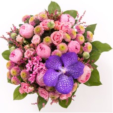 Baby pink (Small)